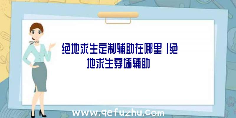 「绝地求生定制辅助在哪里」|绝地求生穿墙辅助